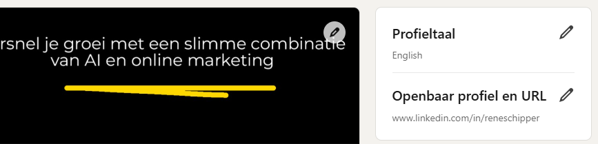 linkedin-url-aanpassen